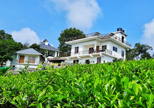 Haze Canyon Home Stay