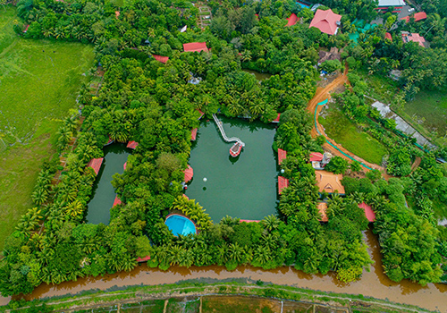 Mango Meadows